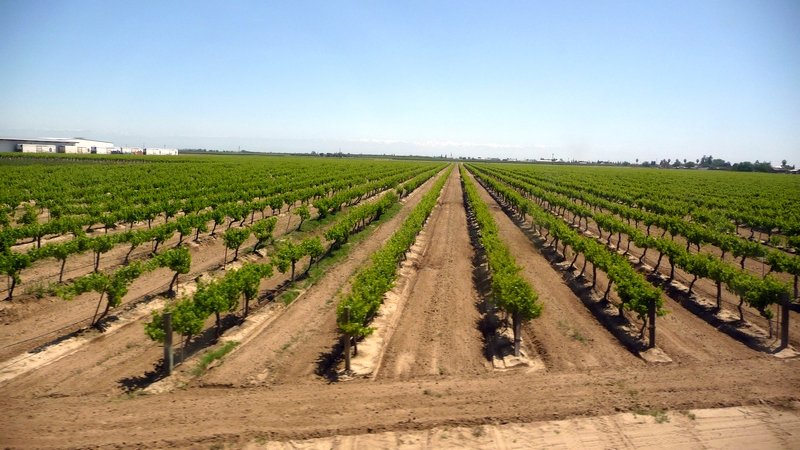 Anbau von allen moeglichen Fruechten im San Joaquin Valley
