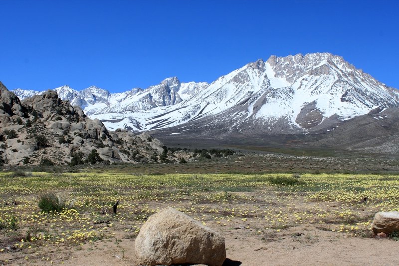 Im Hintergrund: Sierra Nevada