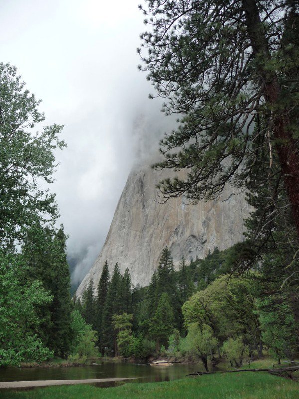 der El Cap taucht aus den Wolken auf