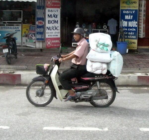 Moped-Carrier