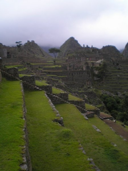 Machu Picchu after a trourist cleansing rain