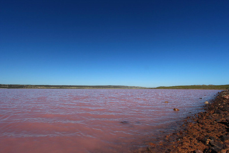 Pink Lake, Port Gregory
