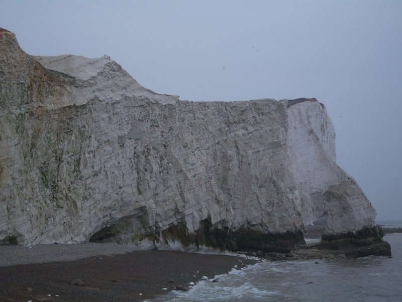 cliffs at seaford (1)