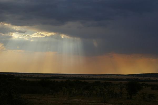 Morning over the Masai Mara