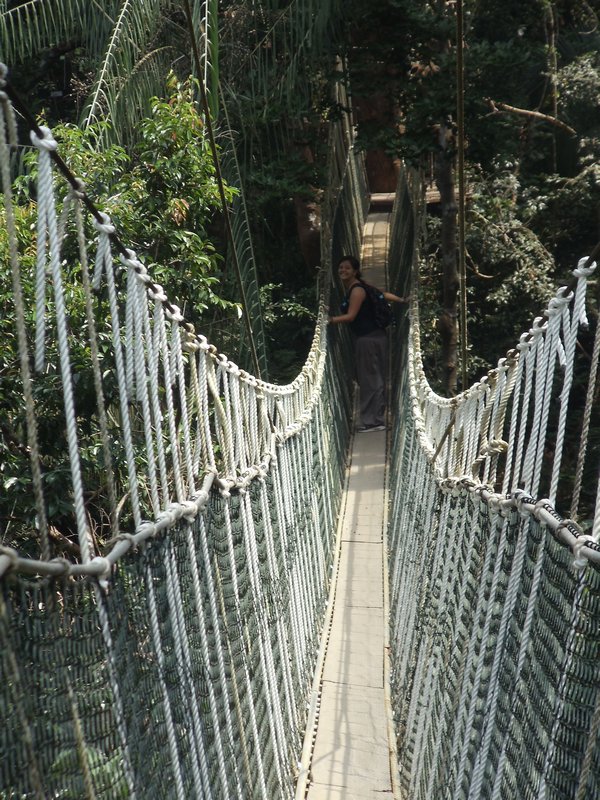 The Canopi bridge