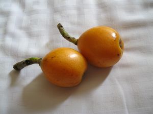 Mystery Fruit