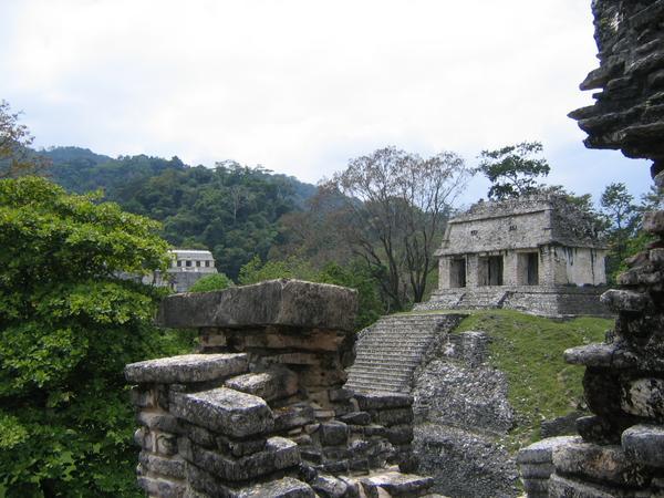 In Palenque