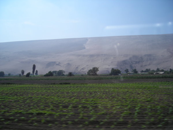 Fertile Valley from the bus...