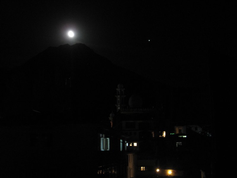 Moon-lite Night