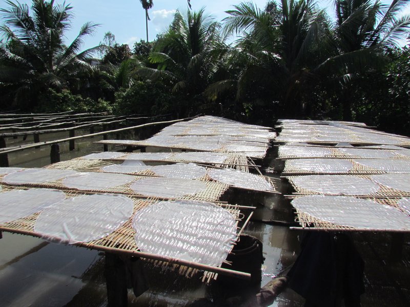 Rice paper drying in the sun
