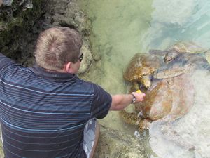 Paul feeding the turtles