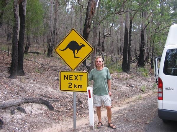 Kangaroo signs