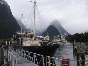 Harbour at Milford Sound