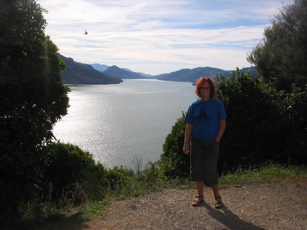 Lovely view from Queen Charlotte Drive