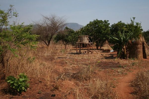 Zambian village scene 4