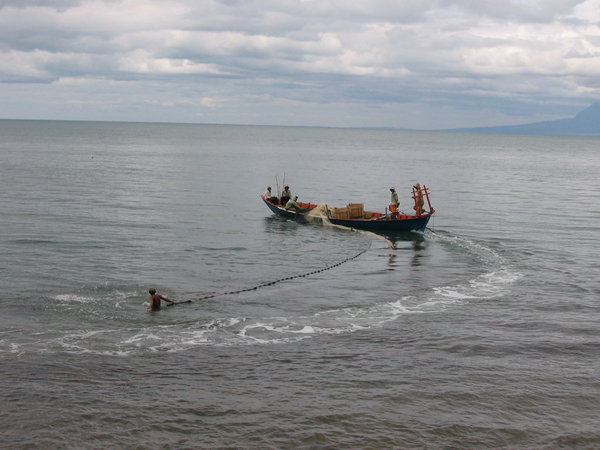 Fishermen deploy net