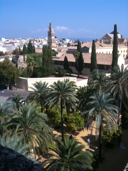 Alcazar garden view