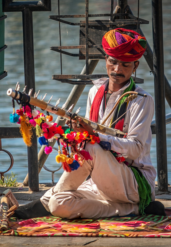 Udaipur Musician