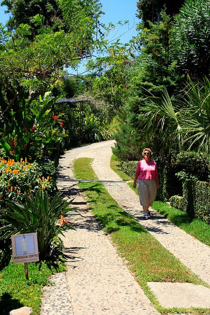 Colorful Gardens in Valle Verde