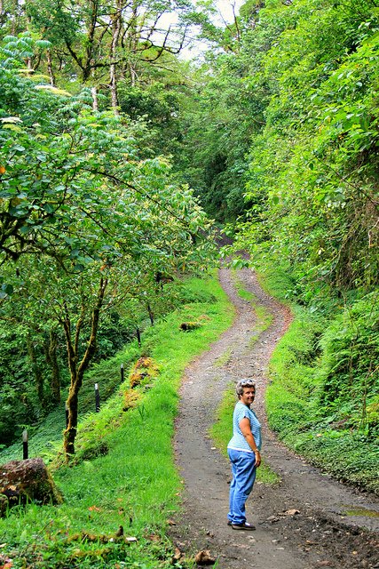 Quetzal Trail