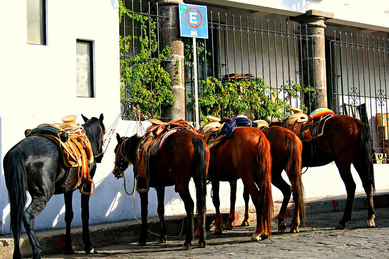 Cowboy Parking - San Miguel