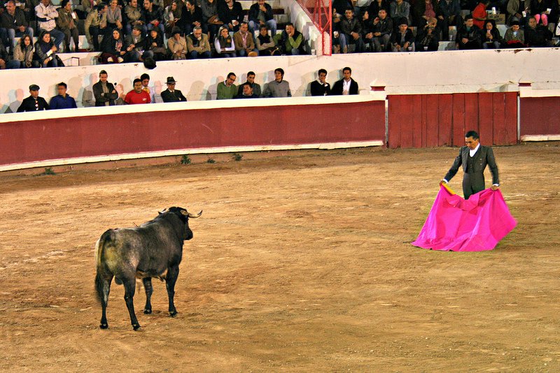 San Miguel Bullfight