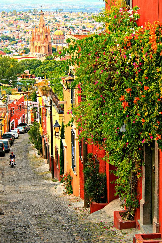 Alleys of San Miguel