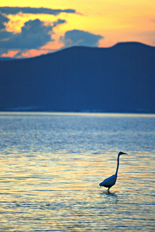Lake Chapala Sunset