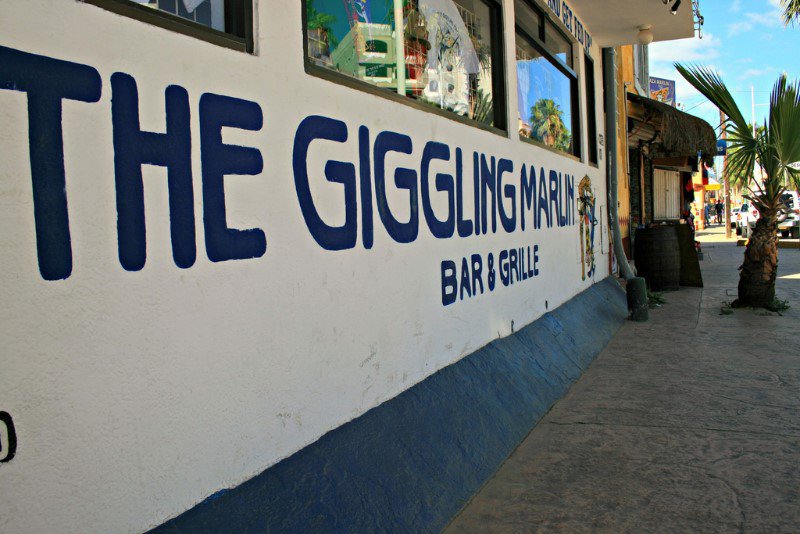 The Giggling Marlin