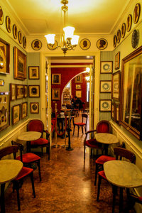 Cafe Antica Greco