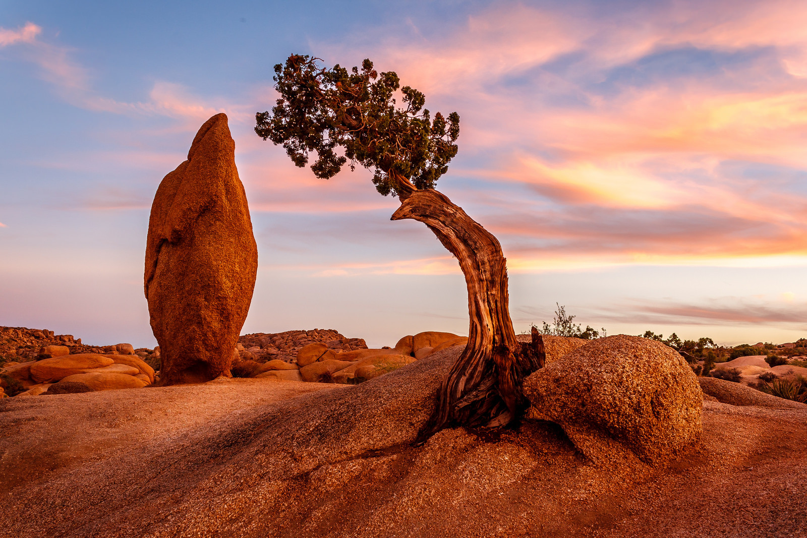 Juniper and Granite | Photo