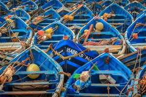 Essaouira Fishing Fleet