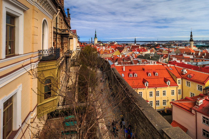 Tallinn City View