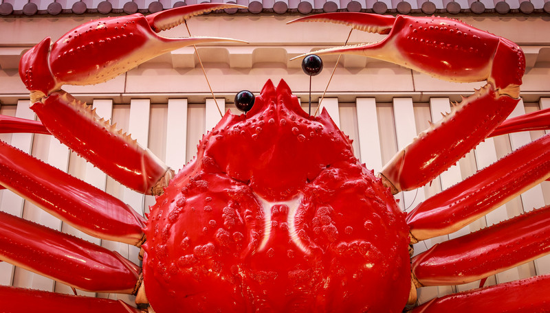 Dotonbori Crab
