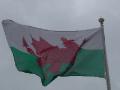 The Welsh flag