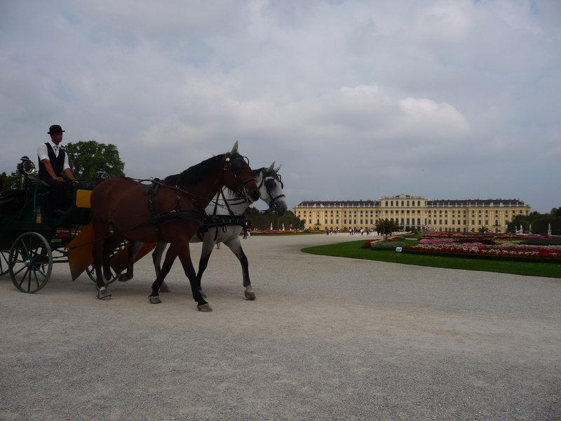 A view of Schönbrunn Palace