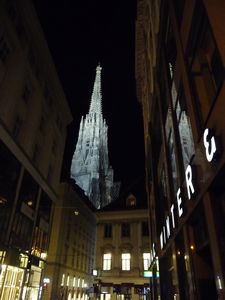 St Stephen's Cathedral at night