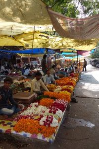 Flower Markets