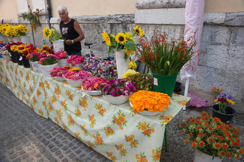 Ljubljana Saturday market flower stall
