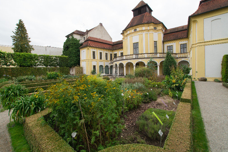 medicinal plant garden and museum