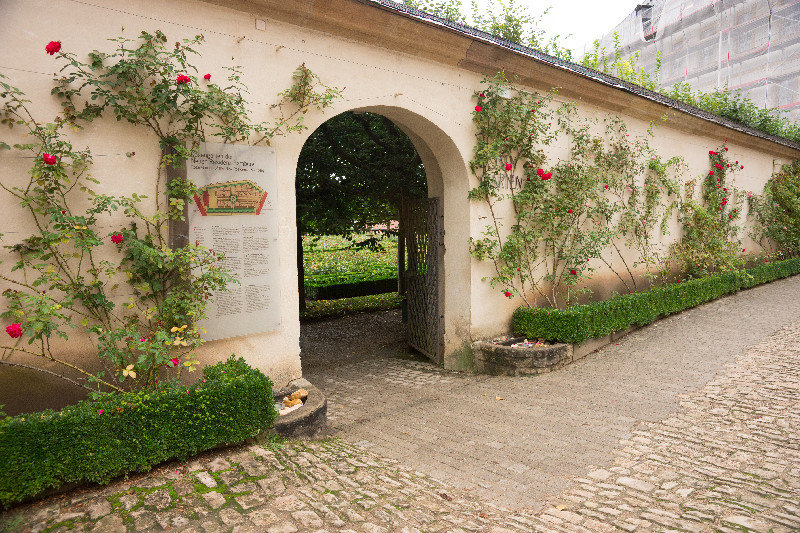 Rose garden, Bamberg