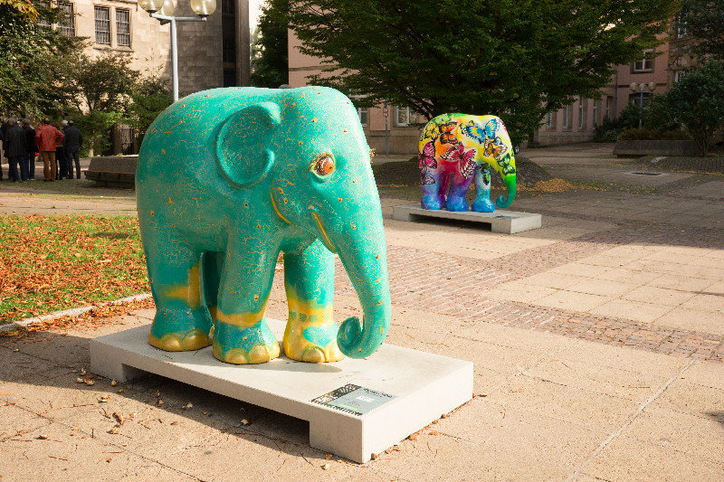 Elephants for charity, Luxembourg City