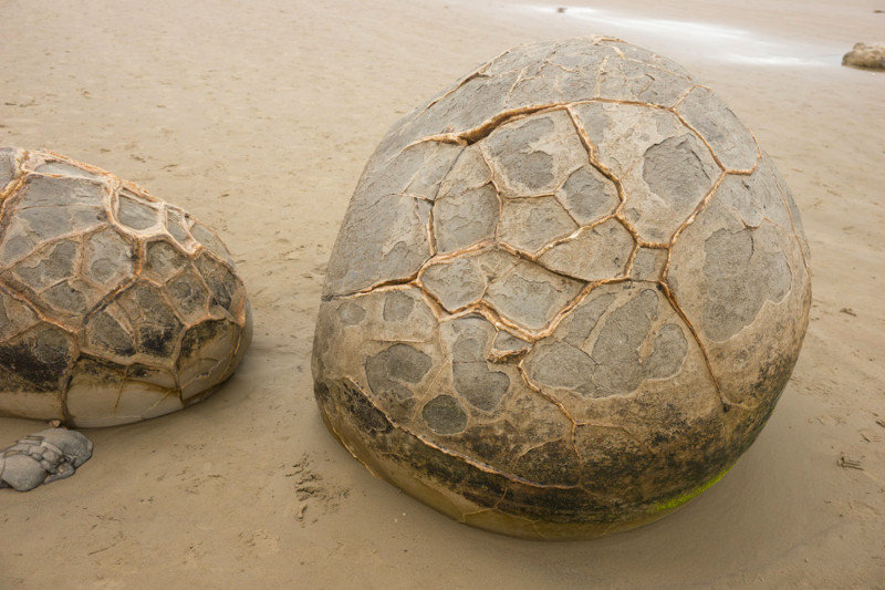 Moeraki boulders closeup