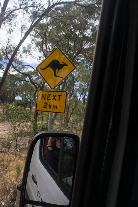 Roo crossing sign