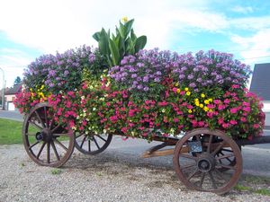 Flower Wagon!