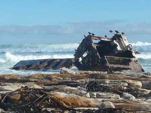 Olifantsbos Bay - old wreck