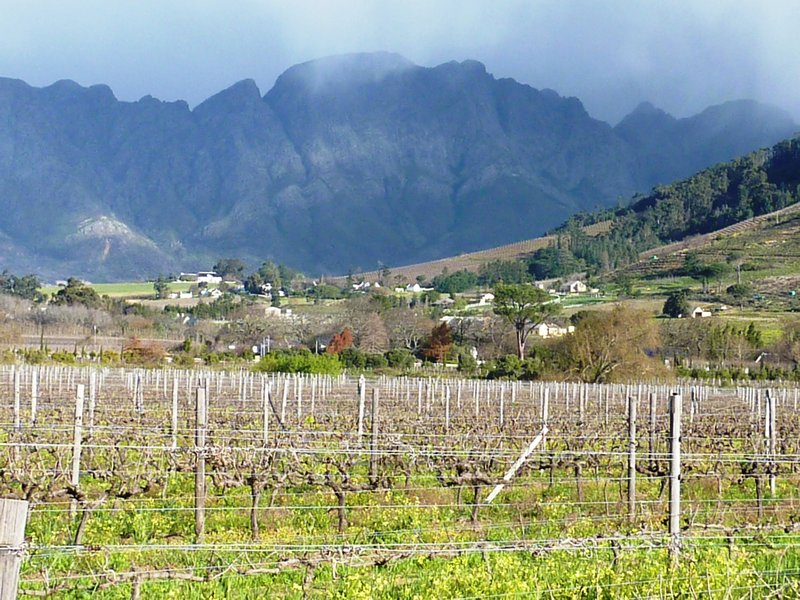 The view entering Klein Franschhoek Winery