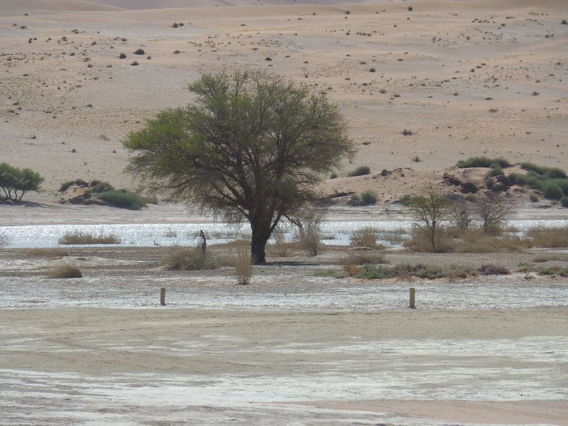 Is it a Mirage - Sossuvlei With Water, Pretty Rare