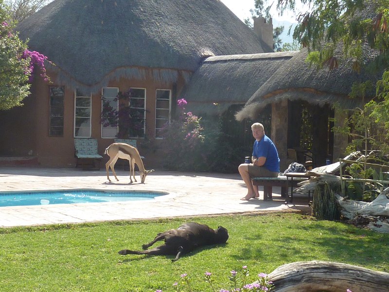 Me Contemplating a Swim With Bokke