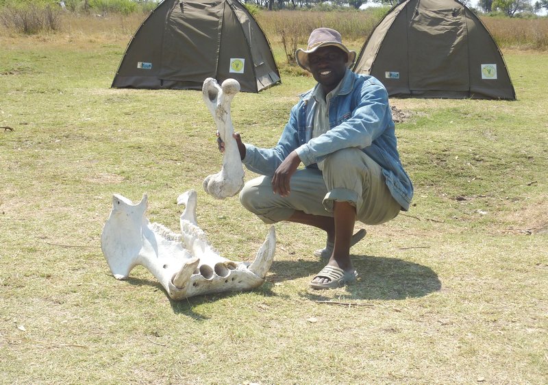 Our Guide Zu With The Remains Of The Hippo We Had For Lunch